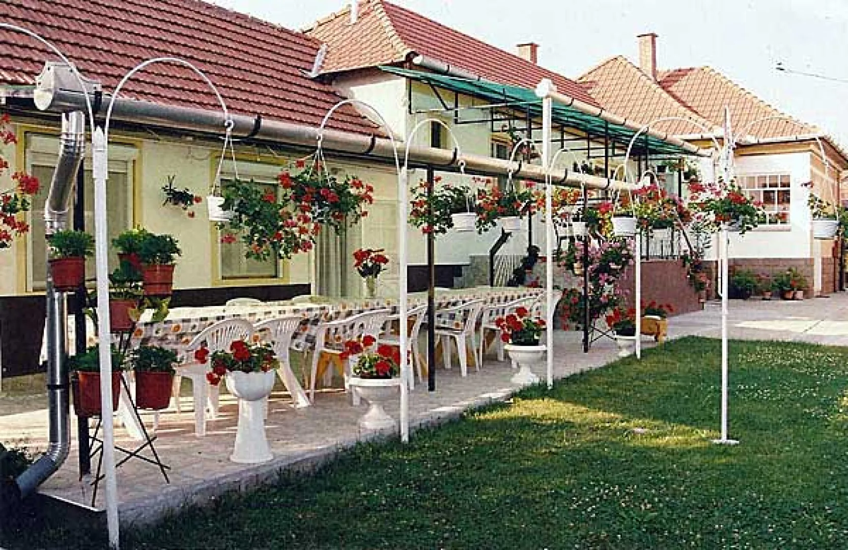 Suzy Apartman